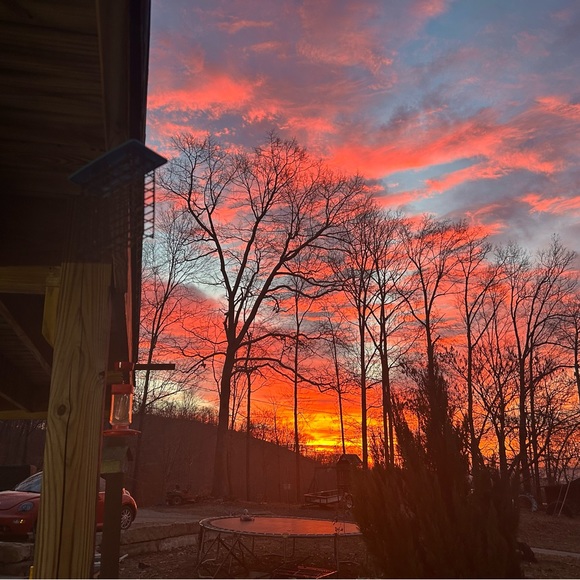 Meet your Posher, Jodi - Picture 12 of 16